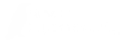 Raven Cybersecurity
